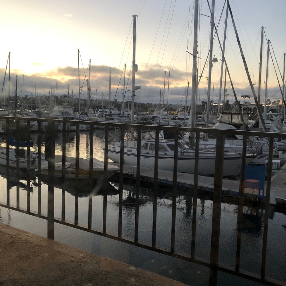 Meet your Posher, Shelby